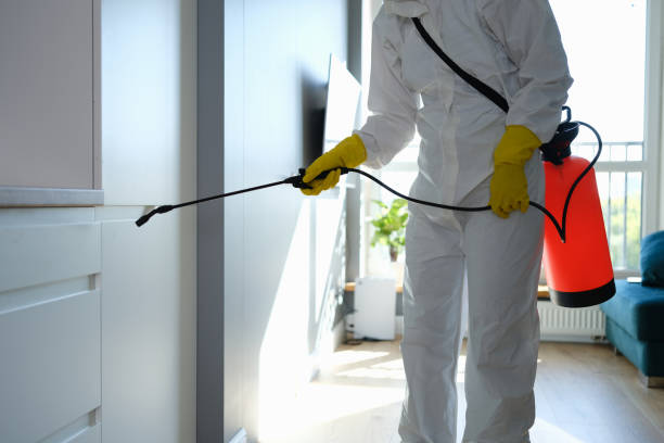 Why You Should Choose Our Mold Remediation Services in Central, LA